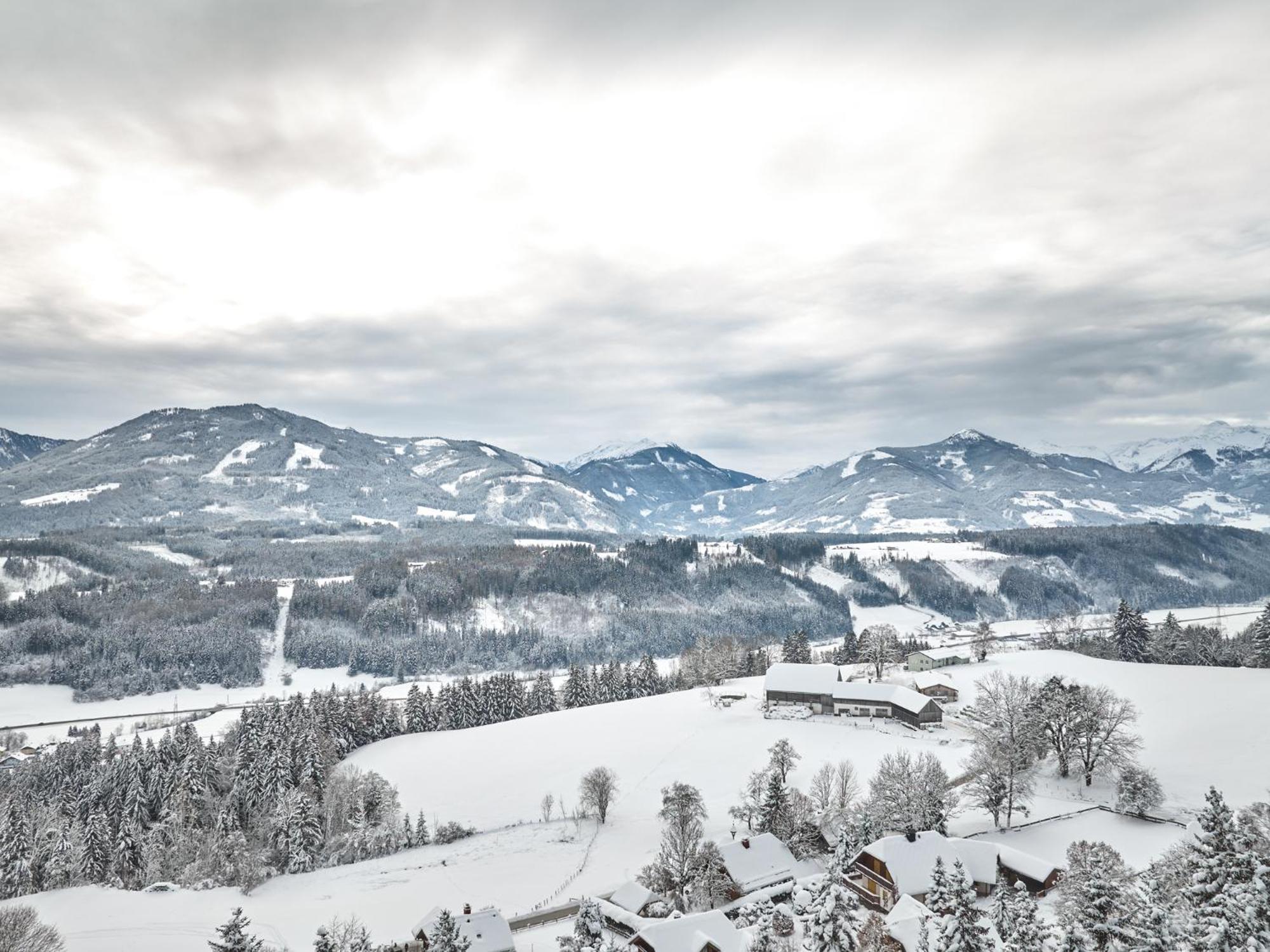 Alpenglueck Chalet Schladming - Dachstein By Aa Holiday Homes سانكت مارتن ام غريم المظهر الخارجي الصورة